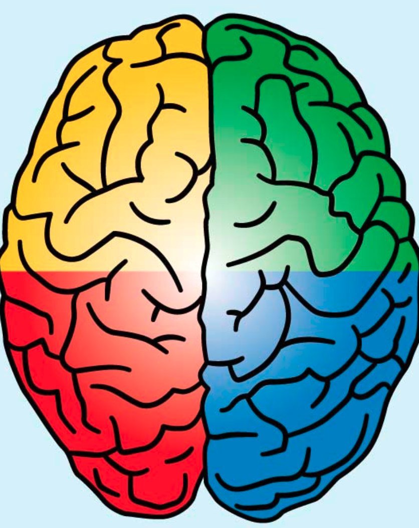 Prism Brain Mapping